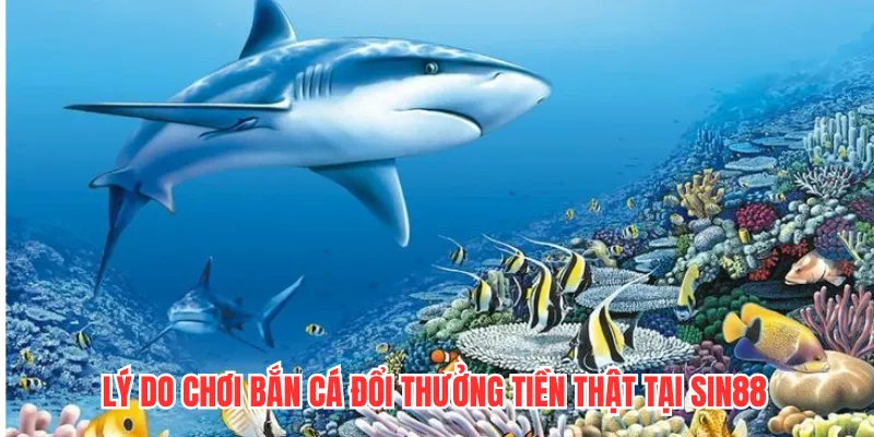 Lý do chơi bắn cá đổi thưởng tiền thật tại SIN88