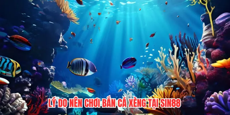 Lý do nên chơi bắn cá xèng tại SIN88