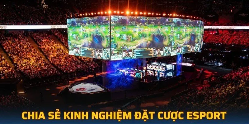 Chia sẻ kinh nghiệm đặt cược Esport 